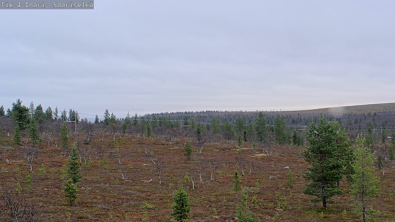 Kelikamerat Kuva Tie 4 Inari, Saariselkä, Kaunispää, Inari, Lappi