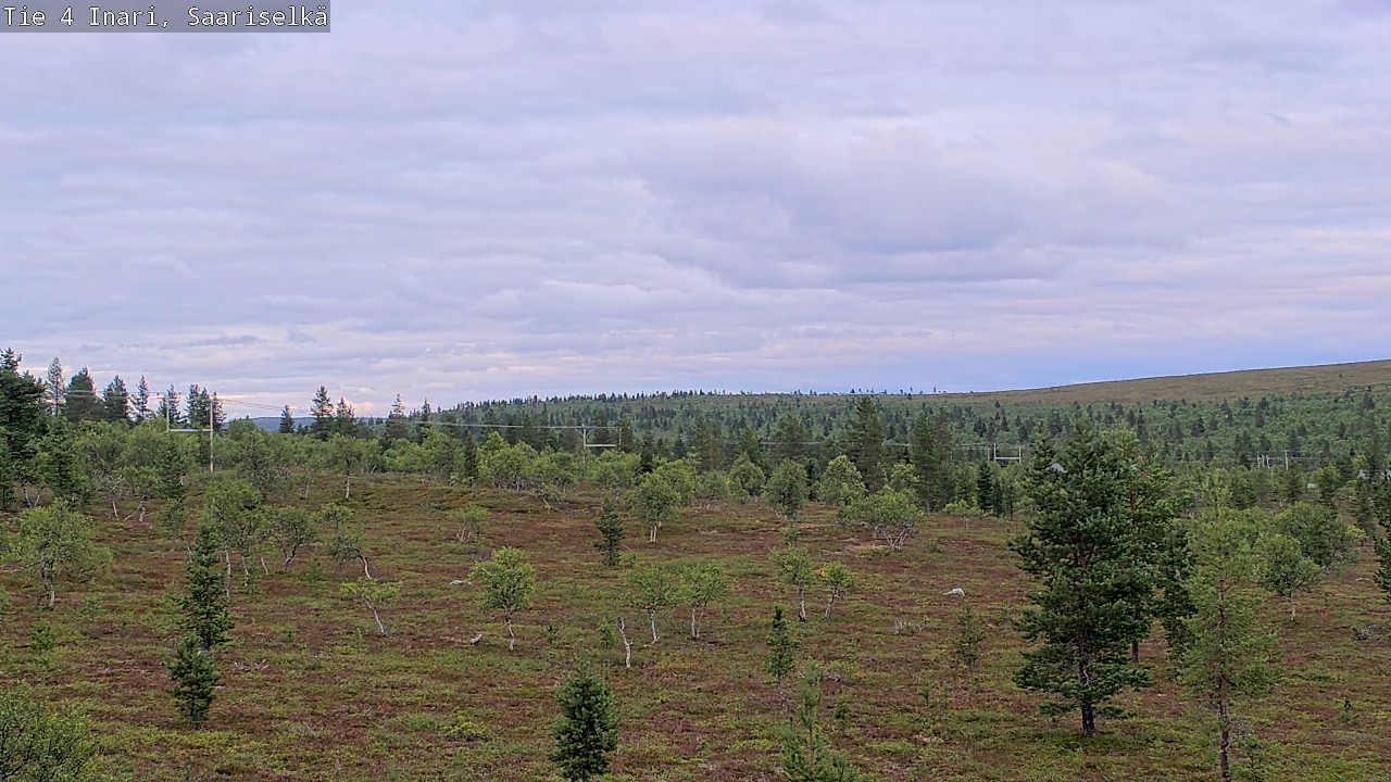 Kelikamerat Kuva Tie 4 Inari, Saariselkä, Kaunispää, Inari, Lappi