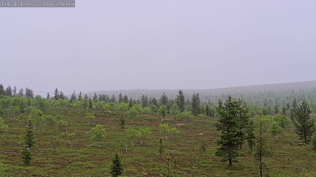Kelikamerat Kuva Tie 4 Inari, Saariselkä, Kaunispää, Inari, Lappi