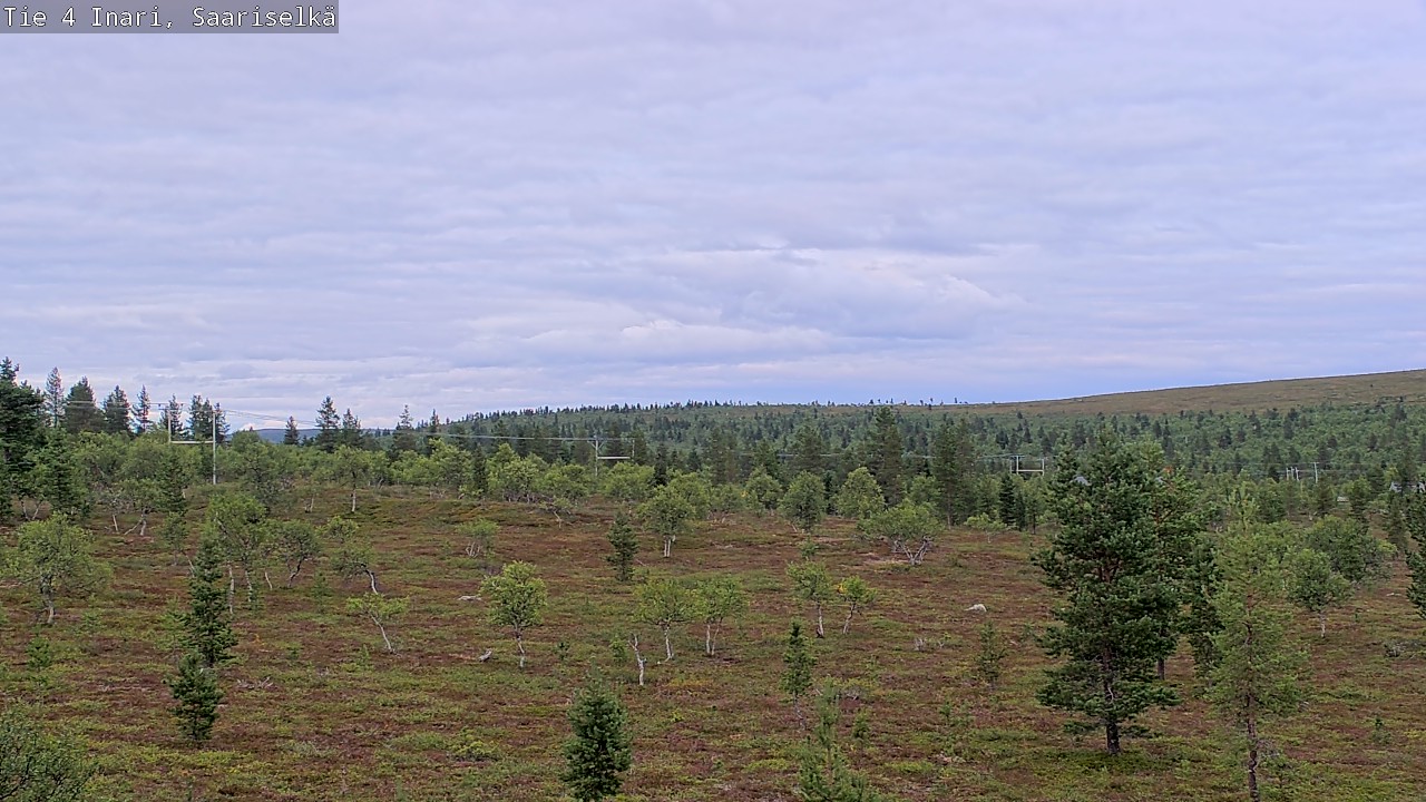 Kelikamerat Kuva Tie 4 Inari, Saariselkä, Kaunispää, Inari, Lappi