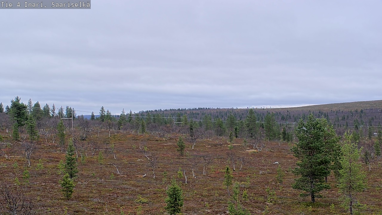 Kelikamerat Kuva Tie 4 Inari, Saariselkä, Kaunispää, Inari, Lappi