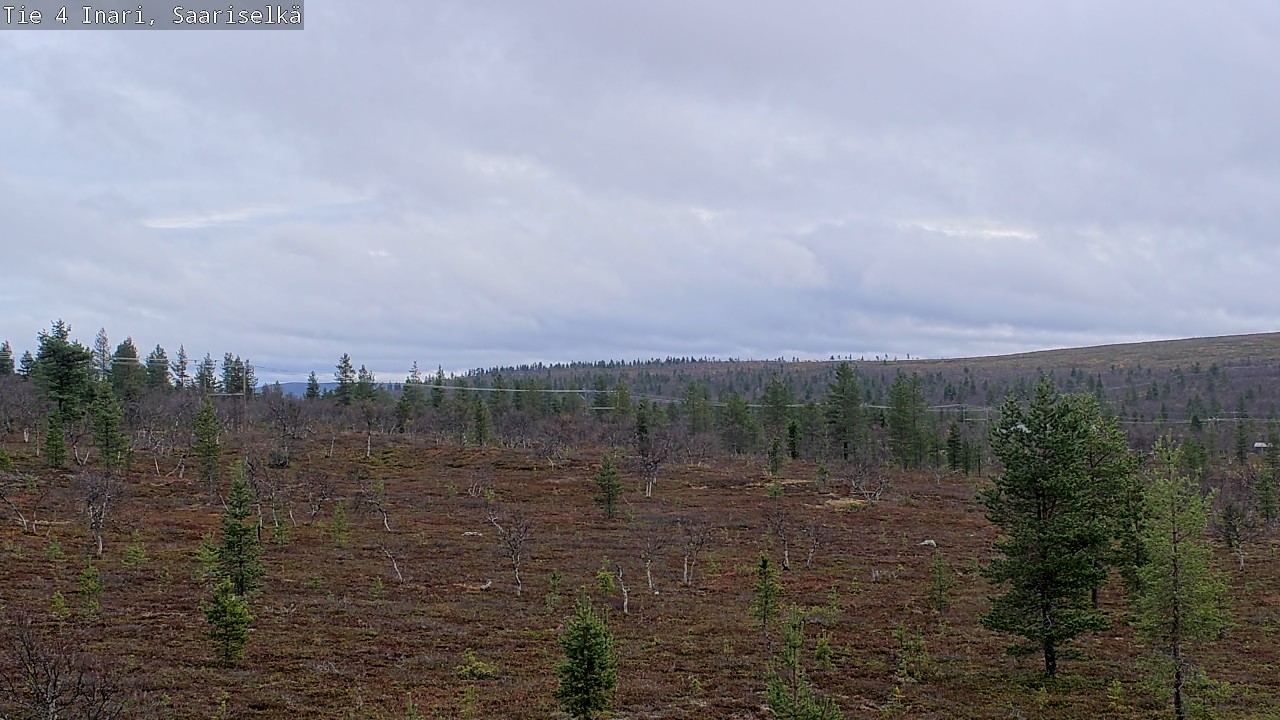 Kelikamerat Kuva Tie 4 Inari, Saariselkä, Kaunispää, Inari, Lappi
