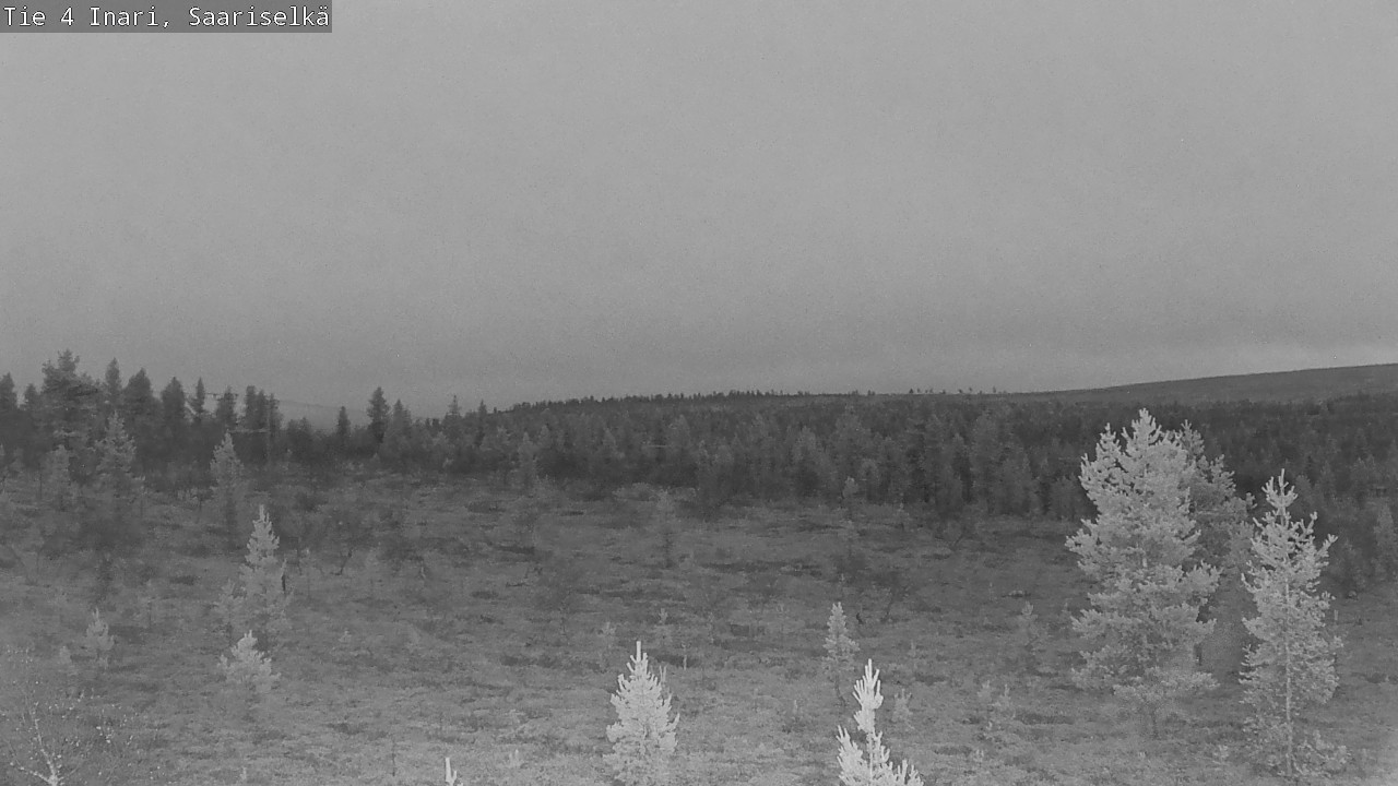 Kelikamerat Kuva Tie 4 Inari, Saariselkä, Kaunispää, Inari, Lappi