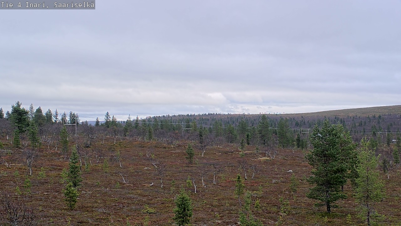 Kelikamerat Kuva Tie 4 Inari, Saariselkä, Kaunispää, Inari, Lappi