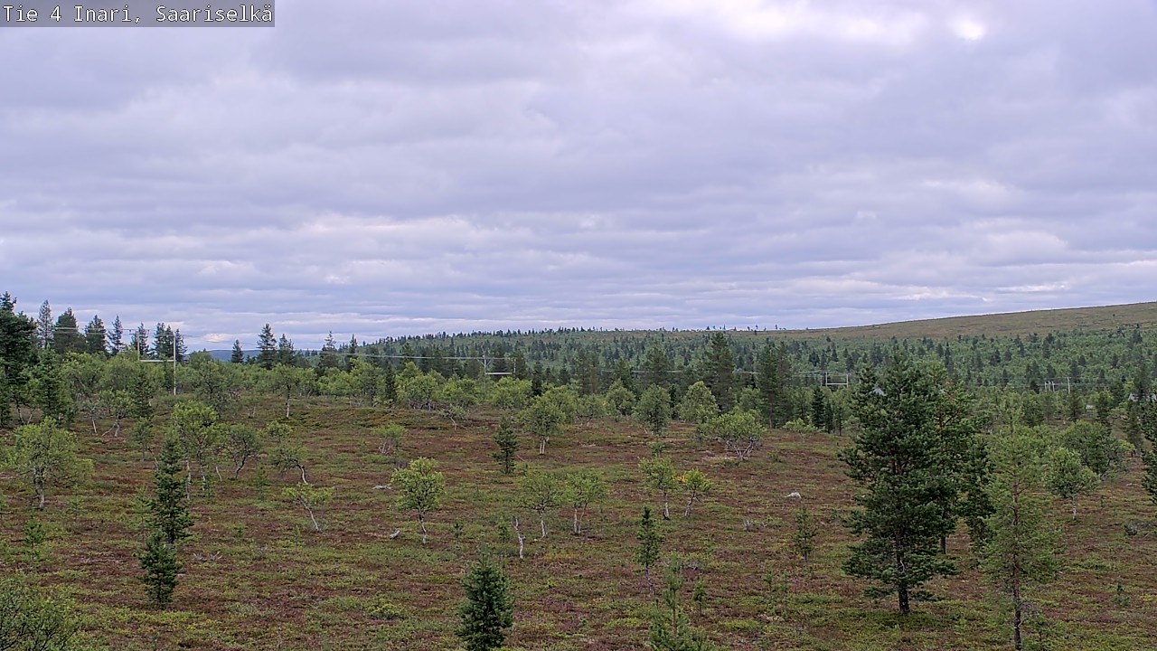 Kelikamerat Kuva Tie 4 Inari, Saariselkä, Kaunispää, Inari, Lappi