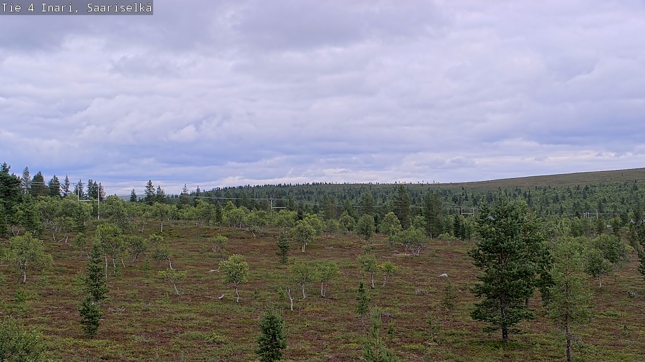 Kelikamerat Kuva Tie 4 Inari, Saariselkä, Kaunispää, Inari, Lappi