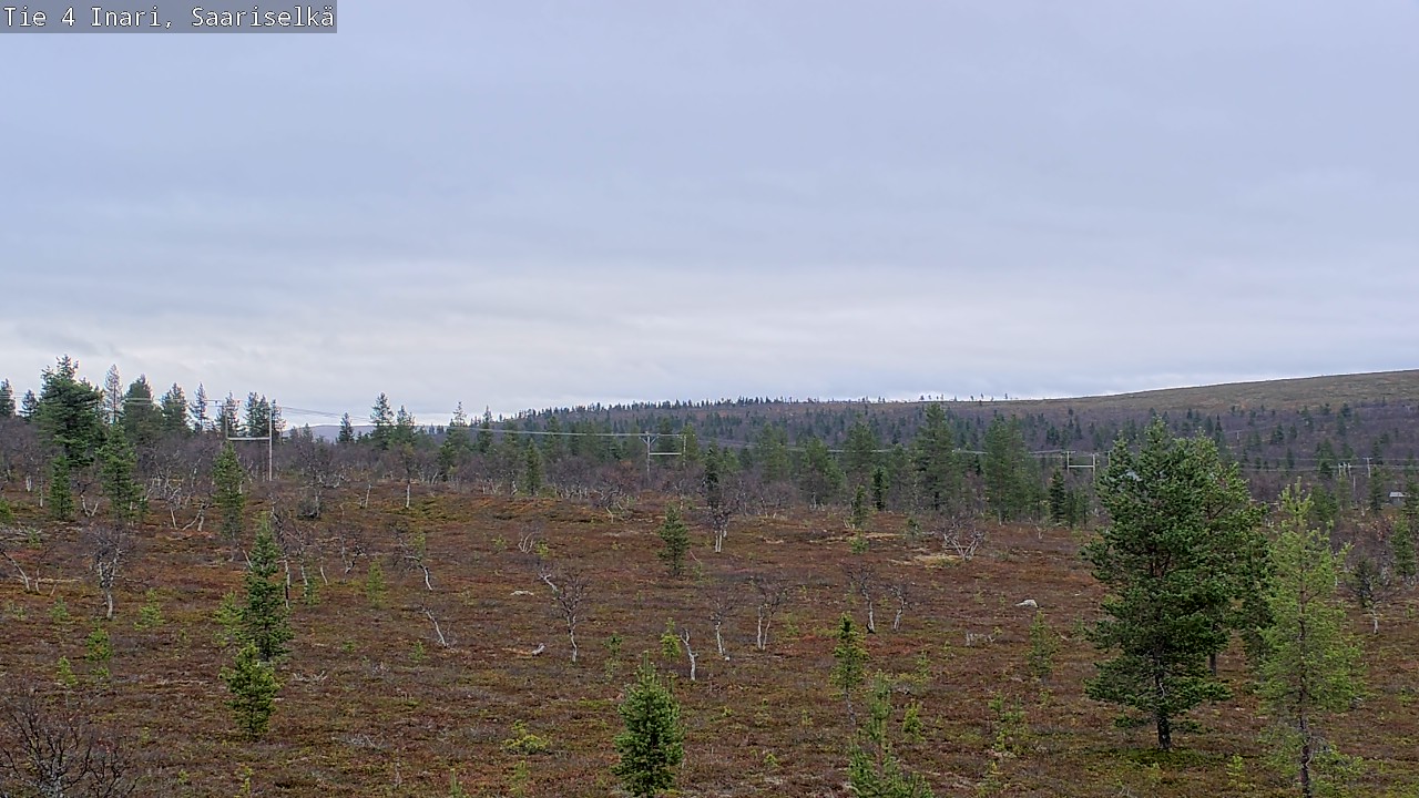Kelikamerat Kuva Tie 4 Inari, Saariselkä, Kaunispää, Inari, Lappi