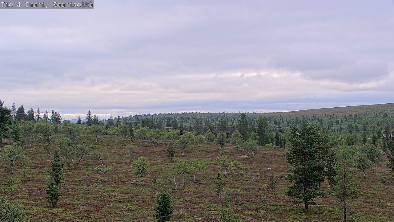 Kelikamerat Kuva Tie 4 Inari, Saariselkä, Kaunispää, Inari, Lappi