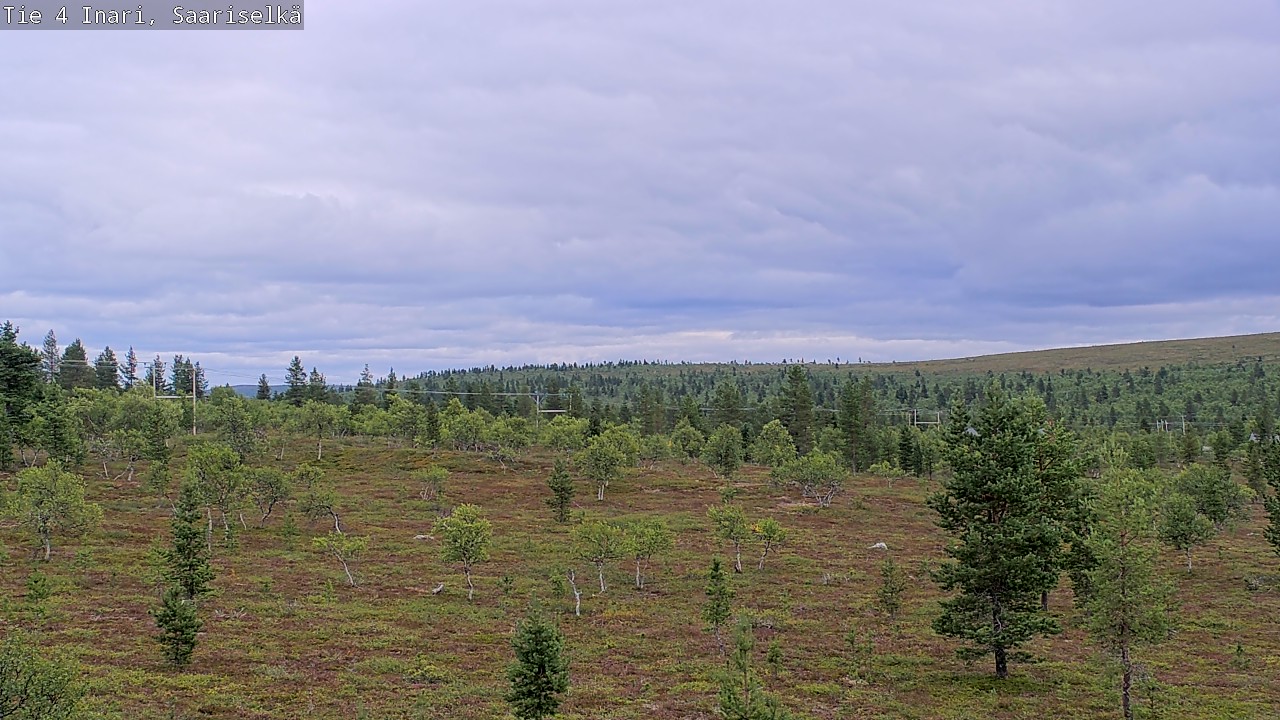 Kelikamerat Kuva Tie 4 Inari, Saariselkä, Kaunispää, Inari, Lappi