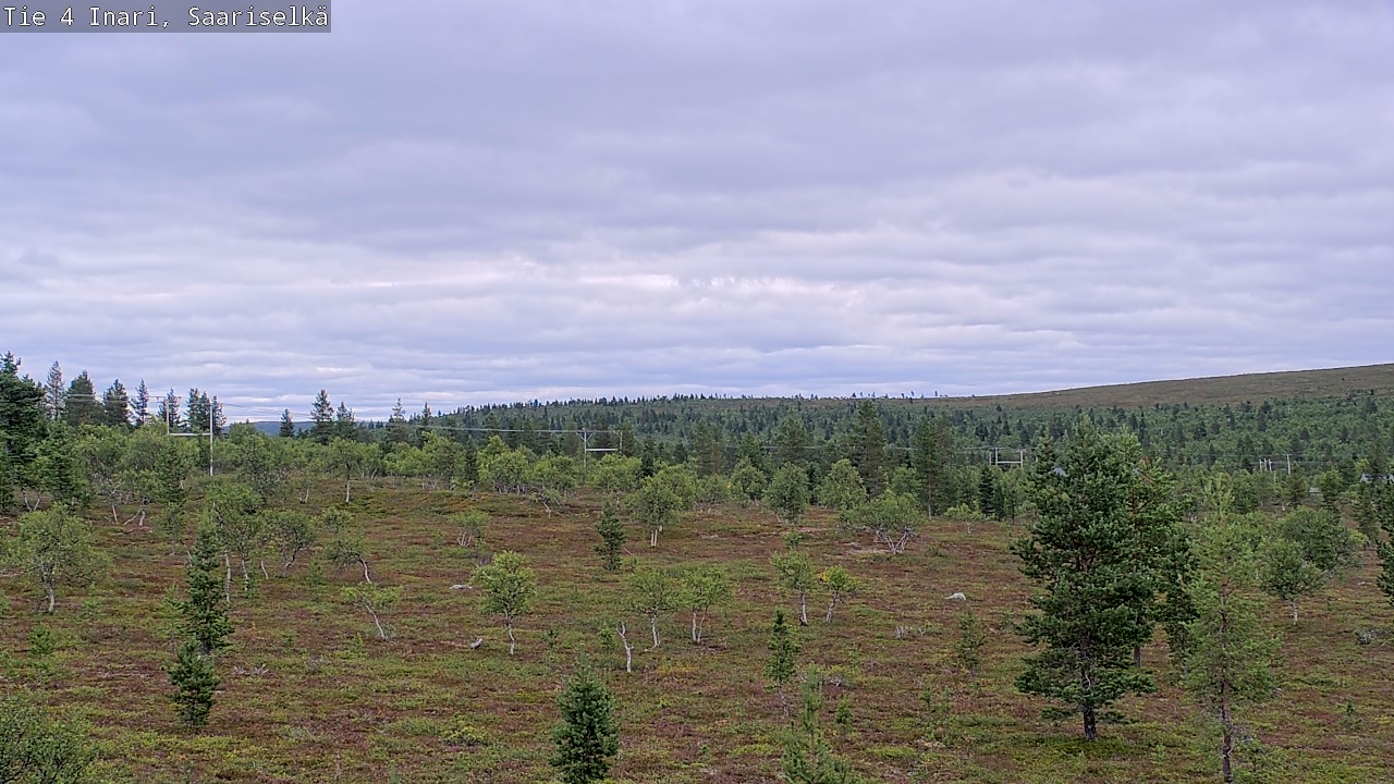 Kelikamerat Kuva Tie 4 Inari, Saariselkä, Kaunispää, Inari, Lappi