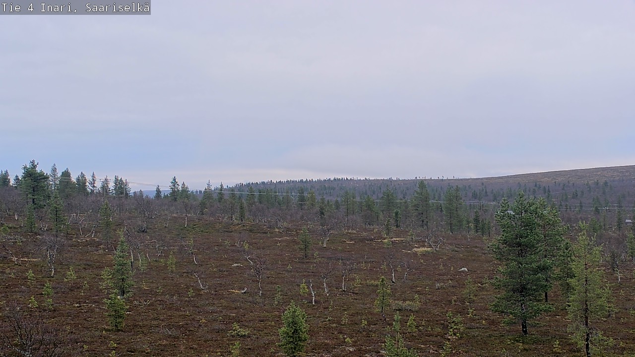 Kelikamerat Kuva Tie 4 Inari, Saariselkä, Kaunispää, Inari, Lappi