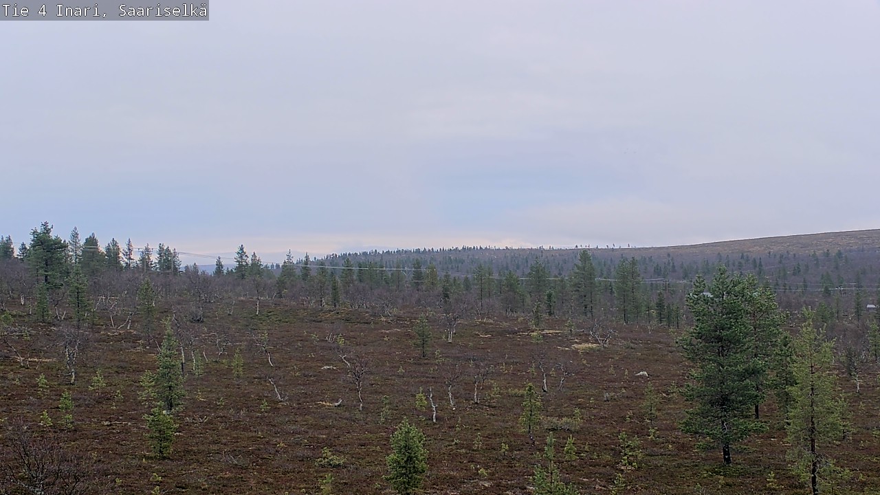 Kelikamerat Kuva Tie 4 Inari, Saariselkä, Kaunispää, Inari, Lappi