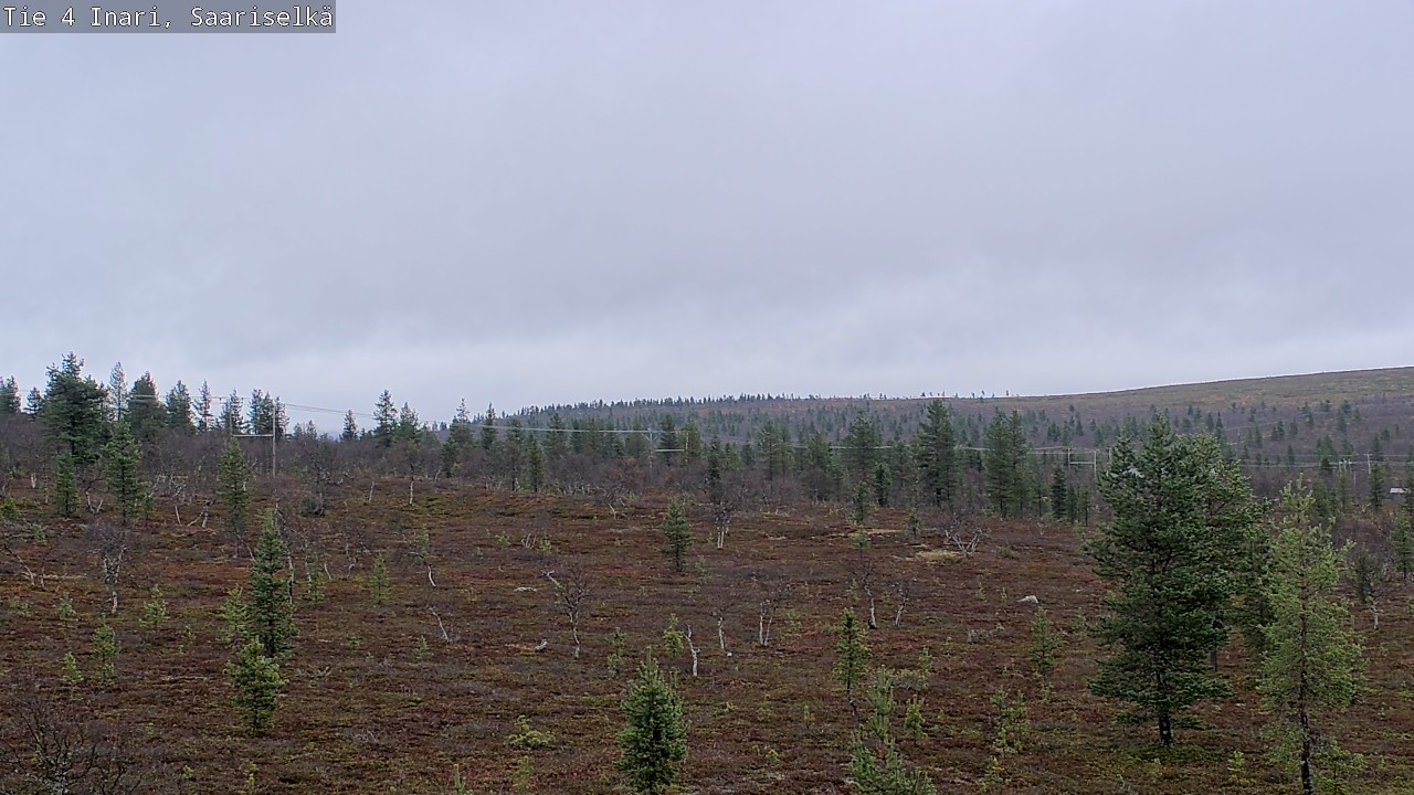 Weather Camera Image Road 4 Inari, Saariselkä, Kaunispää, Inari, Lappi