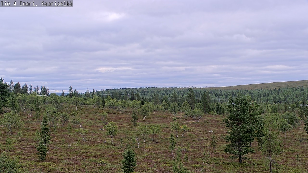 Kelikamerat Kuva Tie 4 Inari, Saariselkä, Kaunispää, Inari, Lappi