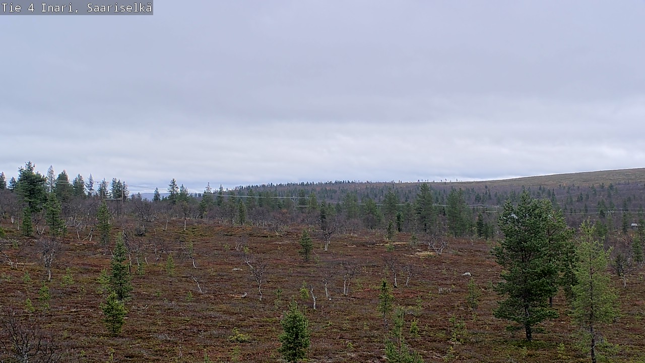 Kelikamerat Kuva Tie 4 Inari, Saariselkä, Kaunispää, Inari, Lappi