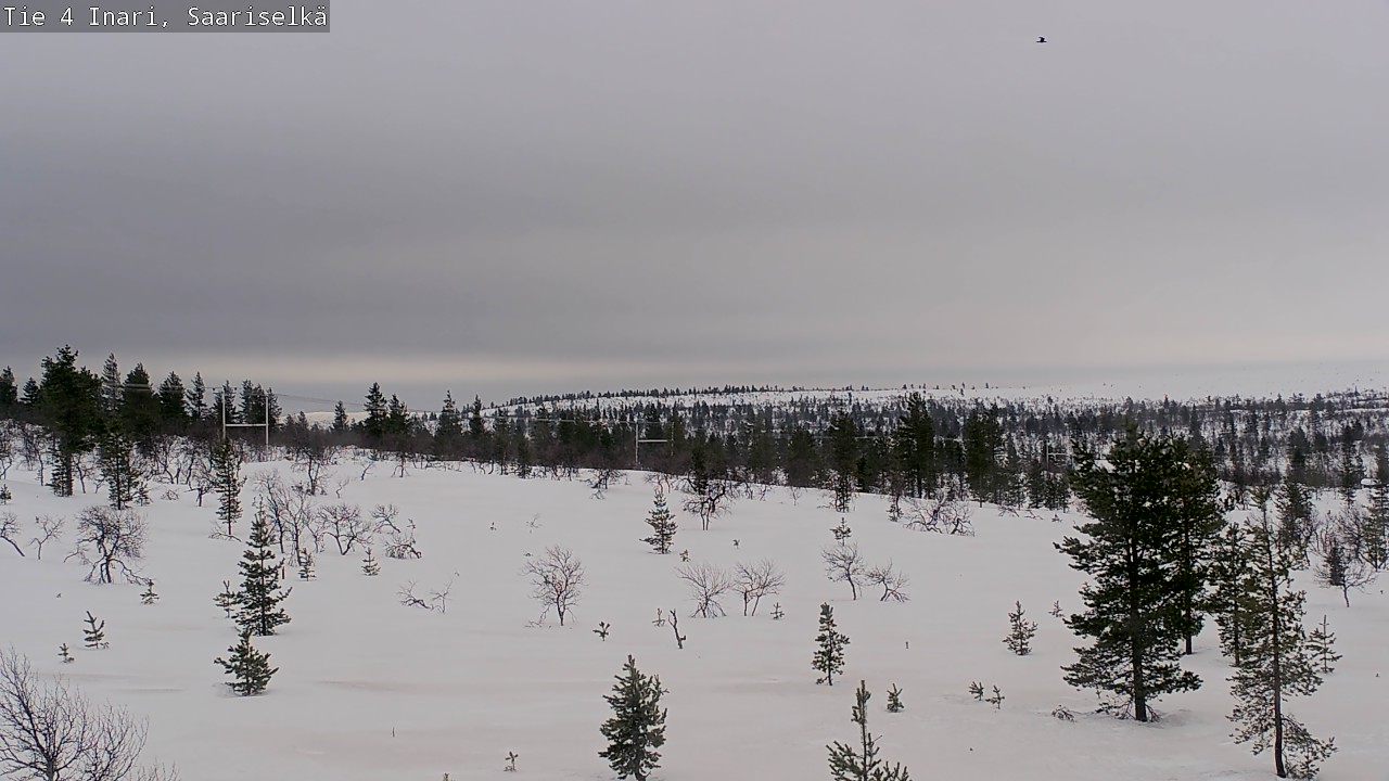 Weather Camera Image Road 4 Inari, Saariselkä, Kaunispää, Inari, Lappi