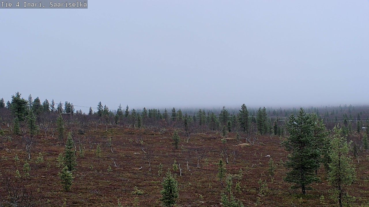 Kelikamerat Kuva Tie 4 Inari, Saariselkä, Kaunispää, Inari, Lappi