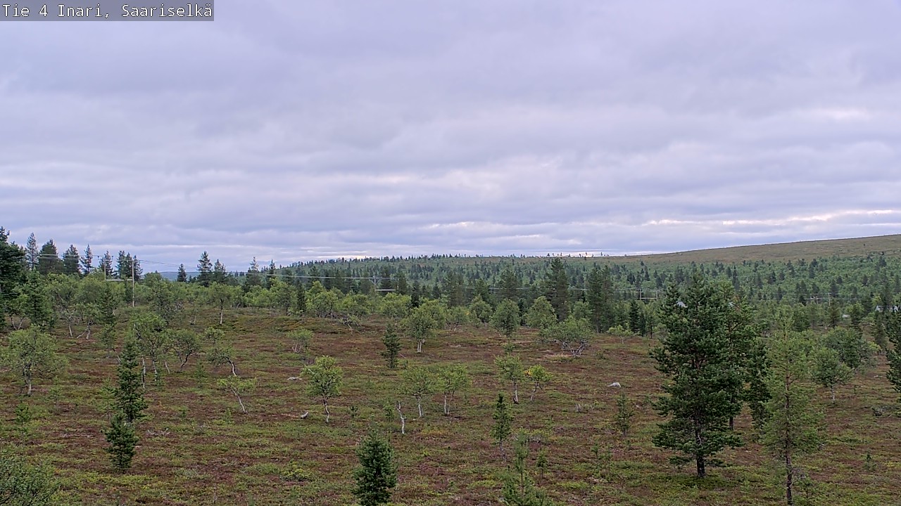 Kelikamerat Kuva Tie 4 Inari, Saariselkä, Kaunispää, Inari, Lappi