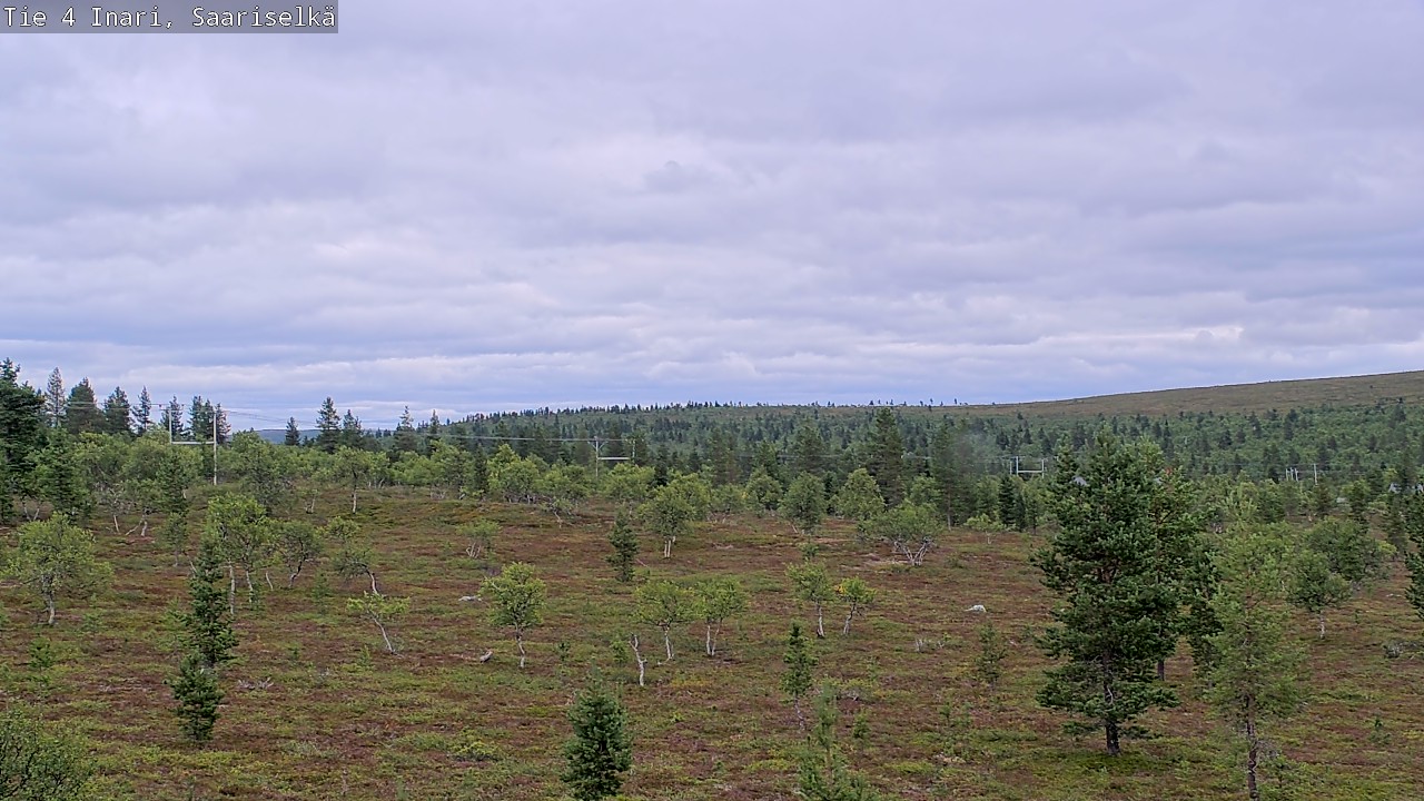 Kelikamerat Kuva Tie 4 Inari, Saariselkä, Kaunispää, Inari, Lappi