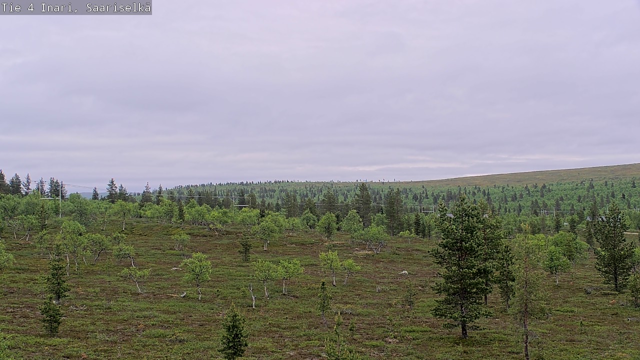 Kelikamerat Kuva Tie 4 Inari, Saariselkä, Kaunispää, Inari, Lappi