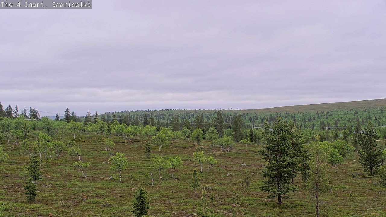 Kelikamerat Kuva Tie 4 Inari, Saariselkä, Kaunispää, Inari, Lappi