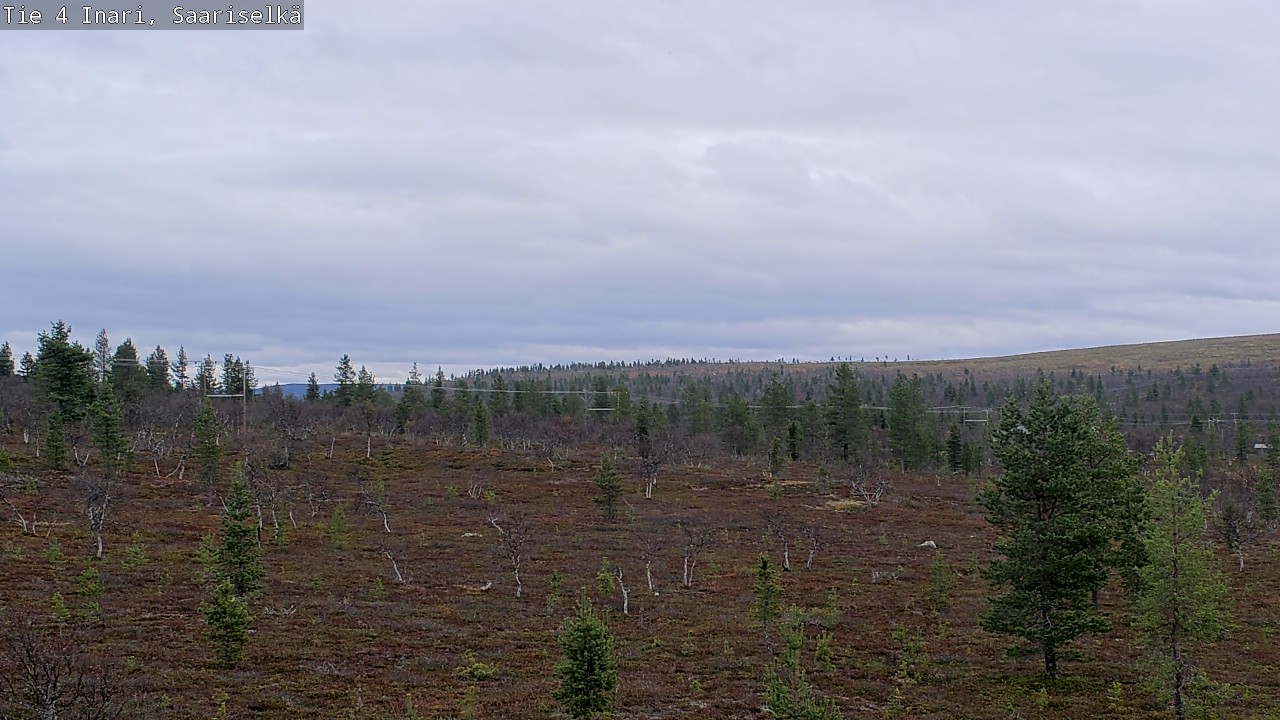 Kelikamerat Kuva Tie 4 Inari, Saariselkä, Kaunispää, Inari, Lappi