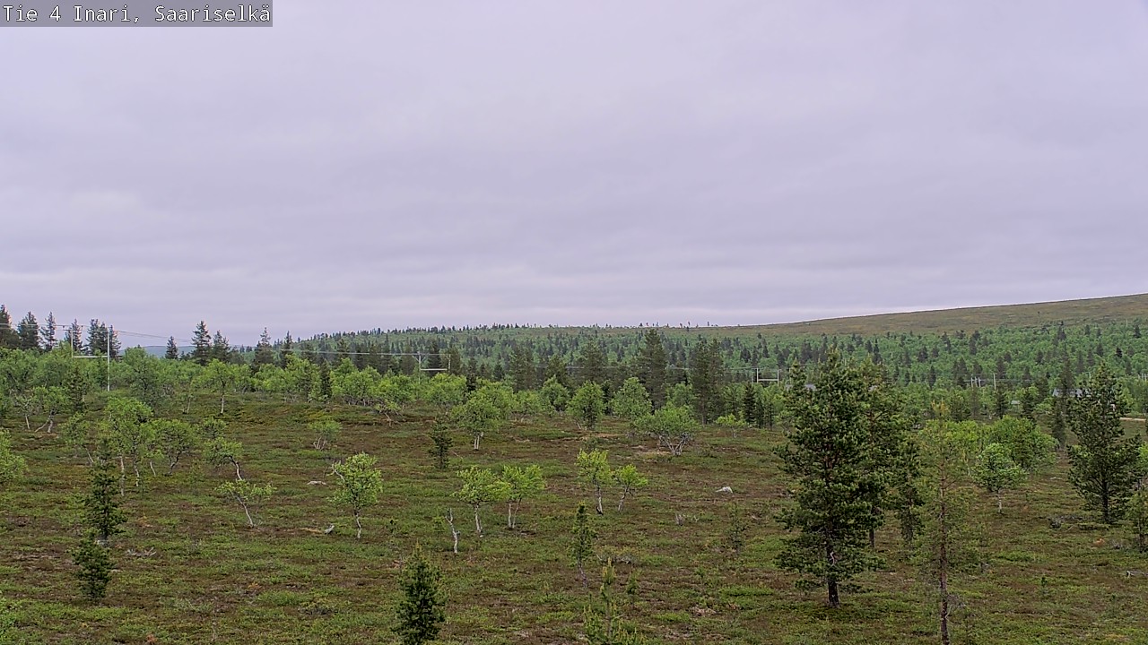 Kelikamerat Kuva Tie 4 Inari, Saariselkä, Kaunispää, Inari, Lappi