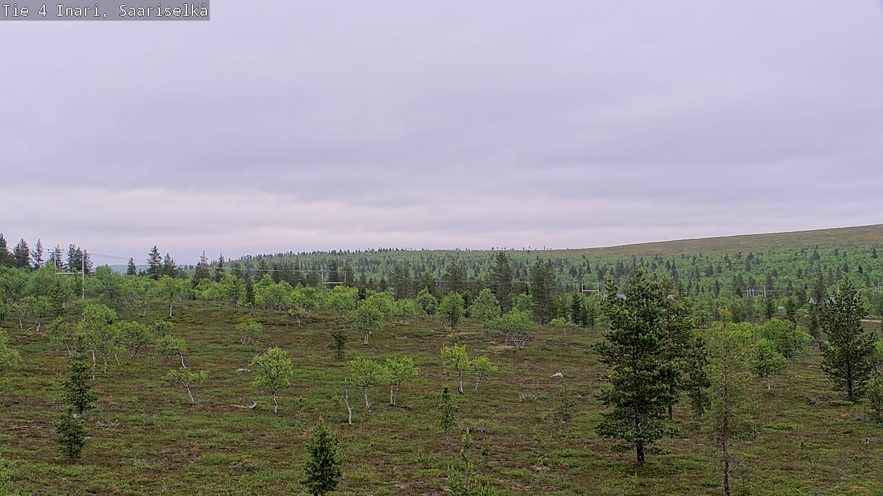 Kelikamerat Kuva Tie 4 Inari, Saariselkä, Kaunispää, Inari, Lappi