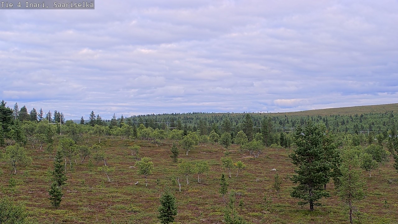 Kelikamerat Kuva Tie 4 Inari, Saariselkä, Kaunispää, Inari, Lappi