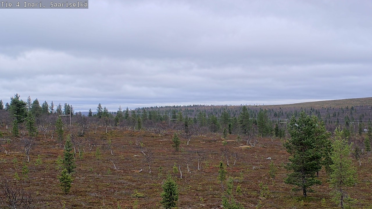 Kelikamerat Kuva Tie 4 Inari, Saariselkä, Kaunispää, Inari, Lappi