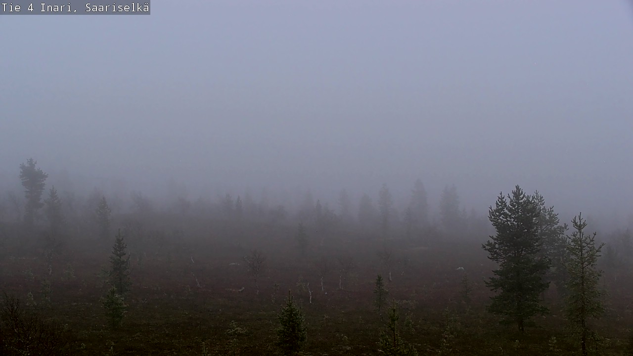 Kelikamerat Kuva Tie 4 Inari, Saariselkä, Kaunispää, Inari, Lappi