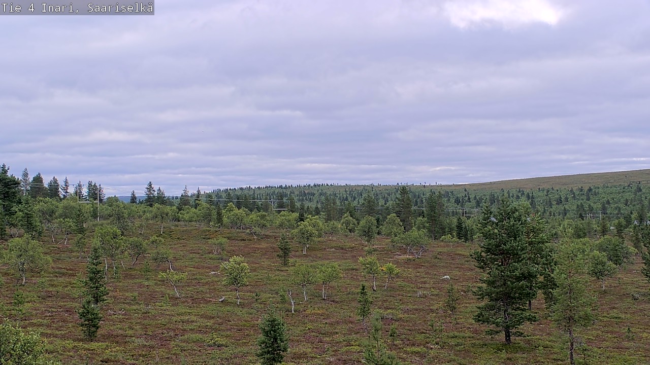 Kelikamerat Kuva Tie 4 Inari, Saariselkä, Kaunispää, Inari, Lappi