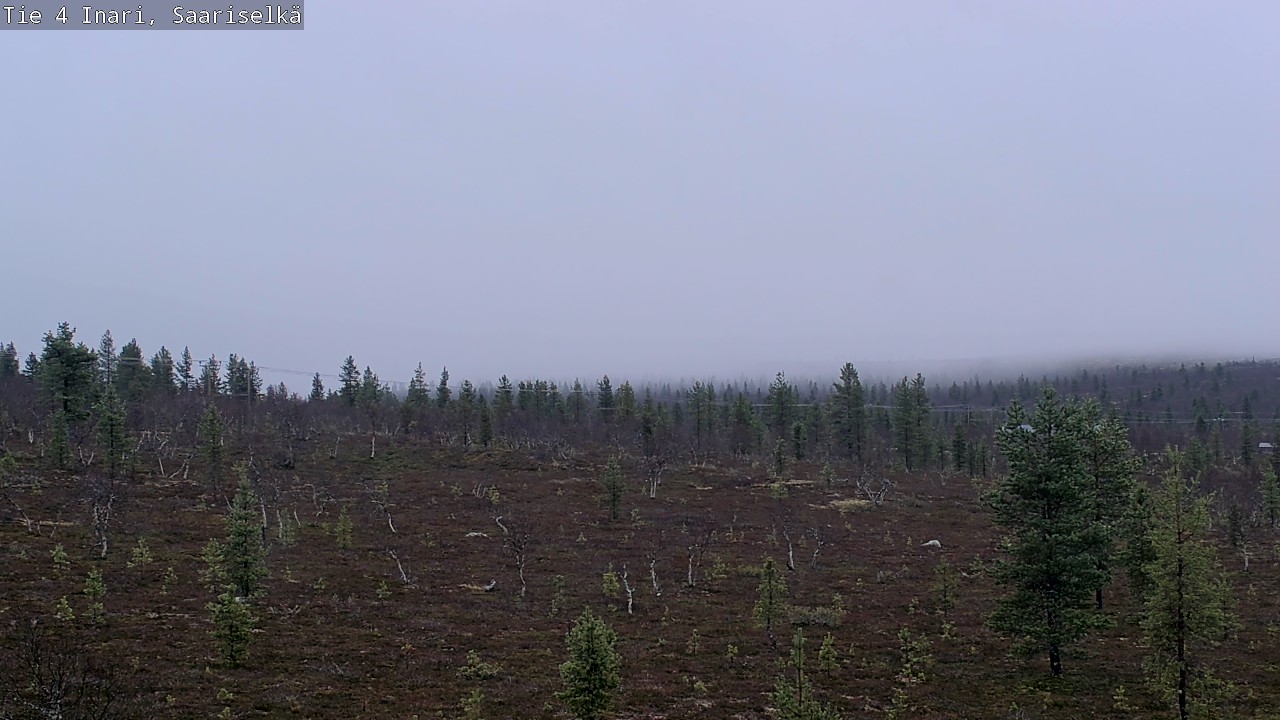 Kelikamerat Kuva Tie 4 Inari, Saariselkä, Kaunispää, Inari, Lappi