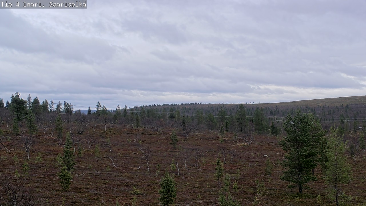 Kelikamerat Kuva Tie 4 Inari, Saariselkä, Kaunispää, Inari, Lappi