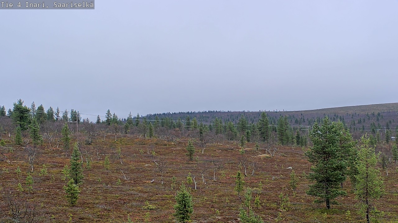 Weather Camera Image Road 4 Inari, Saariselkä, Kaunispää, Inari, Lappi