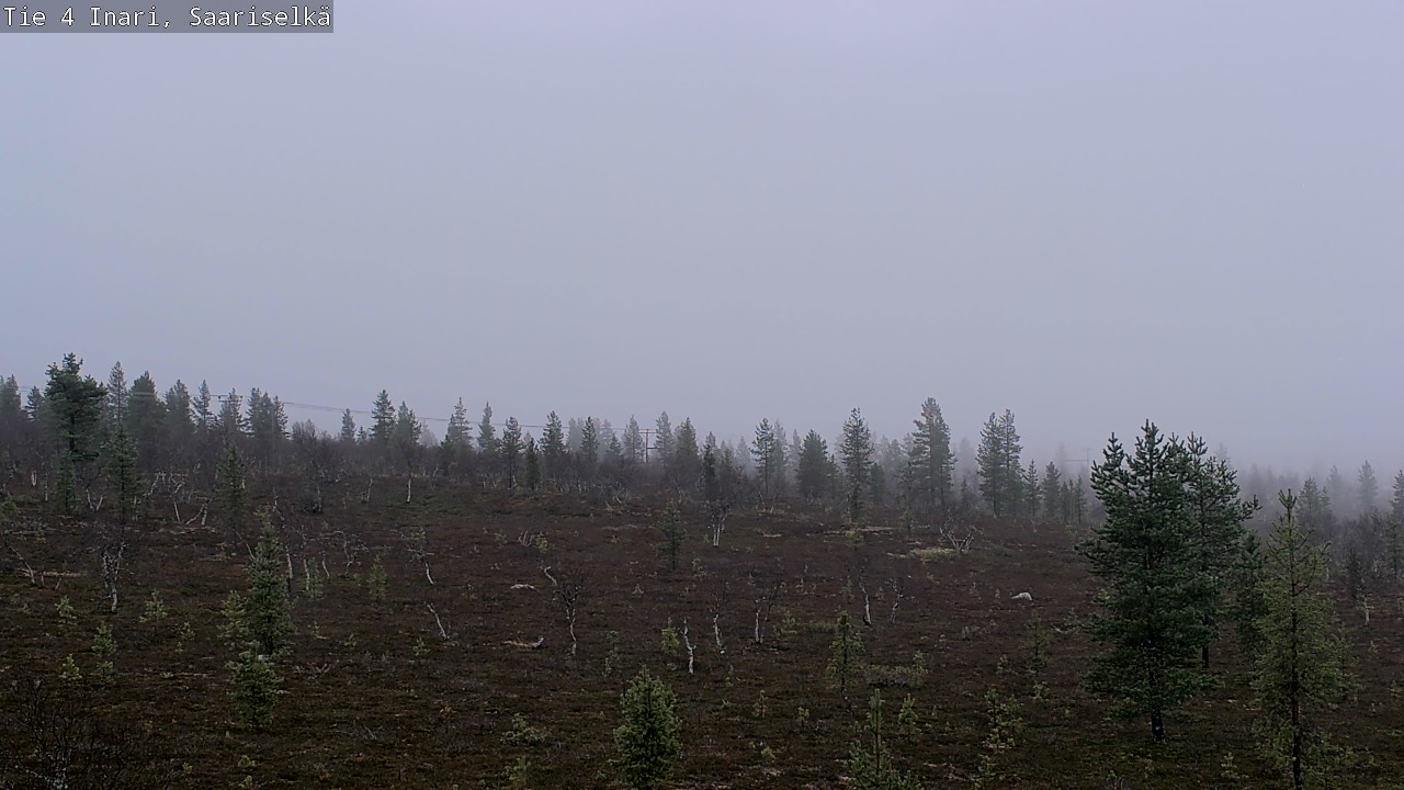 Kelikamerat Kuva Tie 4 Inari, Saariselkä, Kaunispää, Inari, Lappi