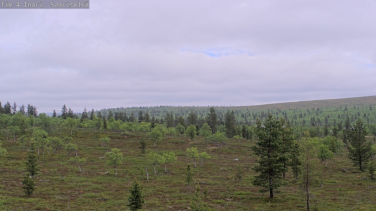 Kelikamerat Kuva Tie 4 Inari, Saariselkä, Kaunispää, Inari, Lappi