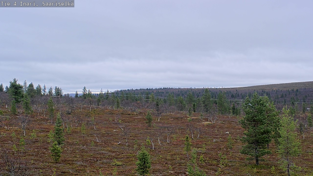 Kelikamerat Kuva Tie 4 Inari, Saariselkä, Kaunispää, Inari, Lappi