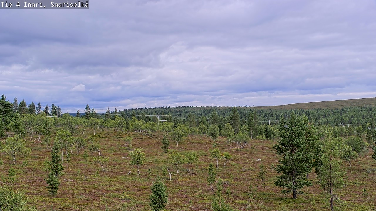 Kelikamerat Kuva Tie 4 Inari, Saariselkä, Kaunispää, Inari, Lappi