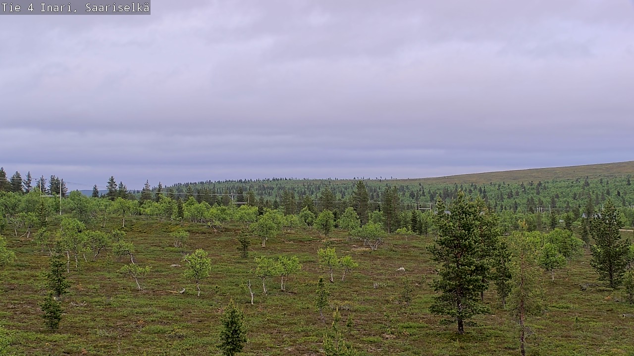 Kelikamerat Kuva Tie 4 Inari, Saariselkä, Kaunispää, Inari, Lappi