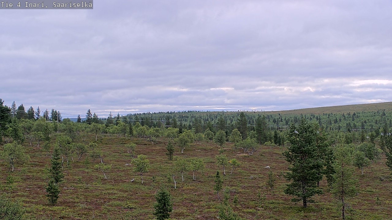 Kelikamerat Kuva Tie 4 Inari, Saariselkä, Kaunispää, Inari, Lappi