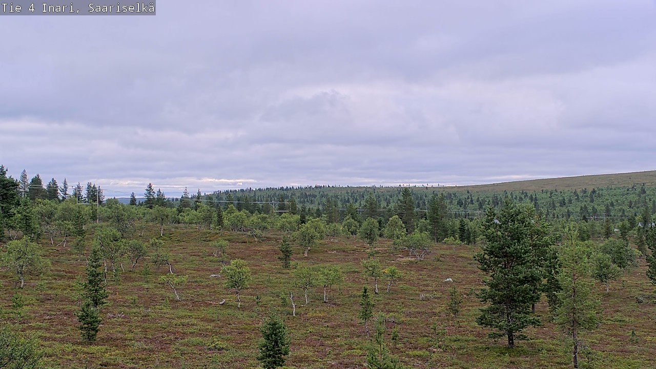 Kelikamerat Kuva Tie 4 Inari, Saariselkä, Kaunispää, Inari, Lappi