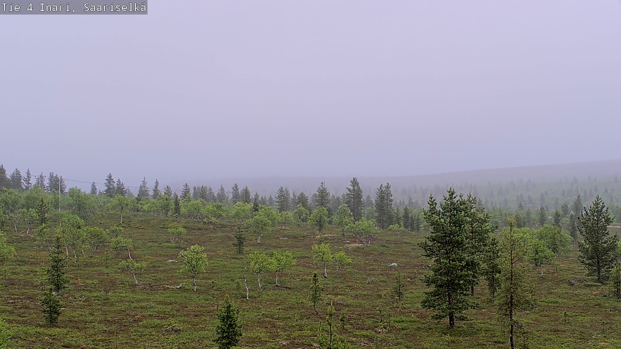 Kelikamerat Kuva Tie 4 Inari, Saariselkä, Kaunispää, Inari, Lappi