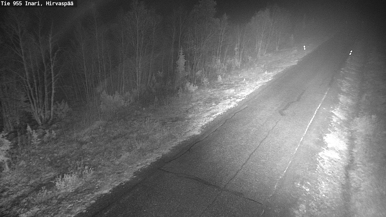 Kelikamerat Kuva Tie 955 Inari, Hirvaspää, Inari, Lappi