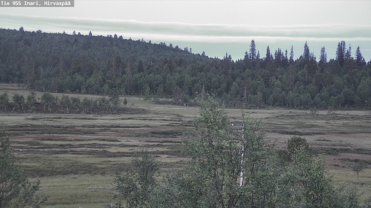 Kelikamerat Kuva Tie 955 Inari, Hirvaspää, Inari, Lappi