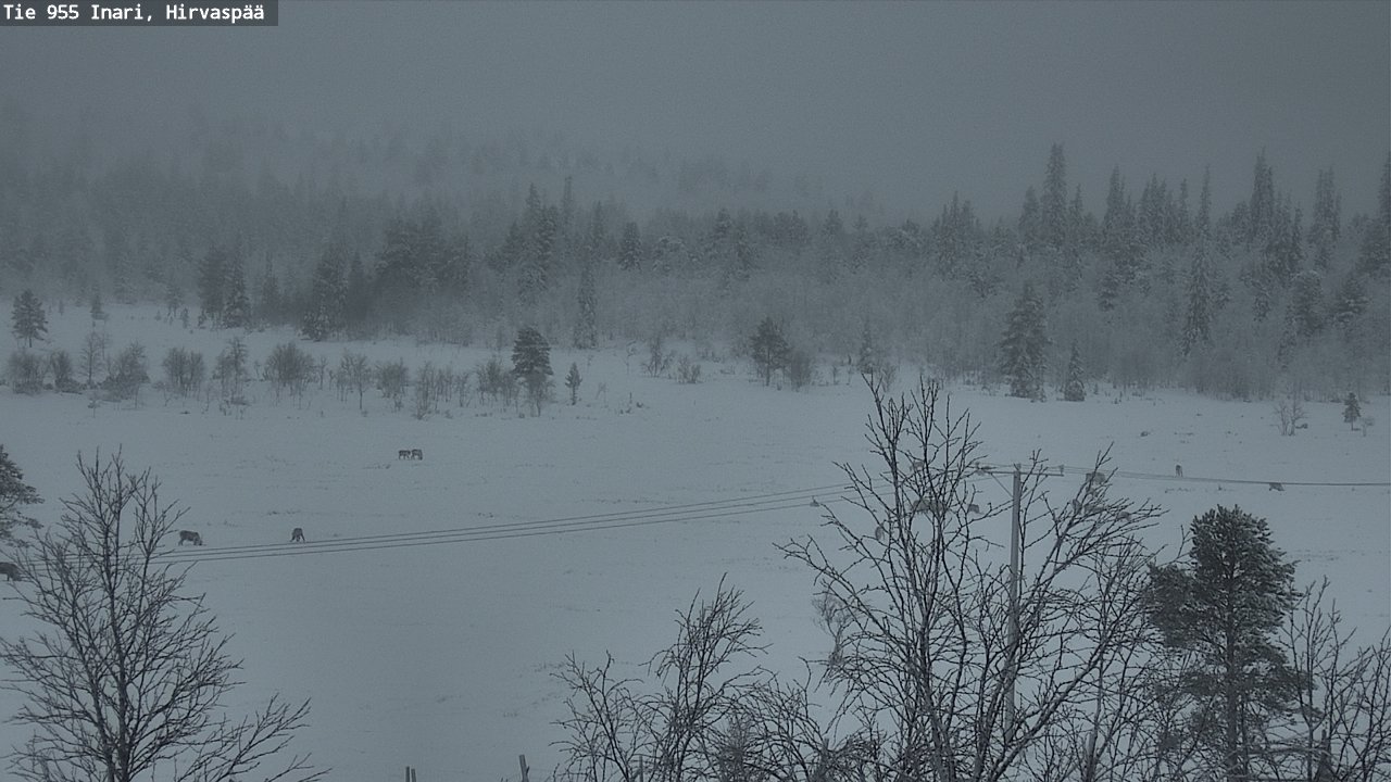 Kelikamerat Kuva Tie 955 Inari, Hirvaspää, Inari, Lappi