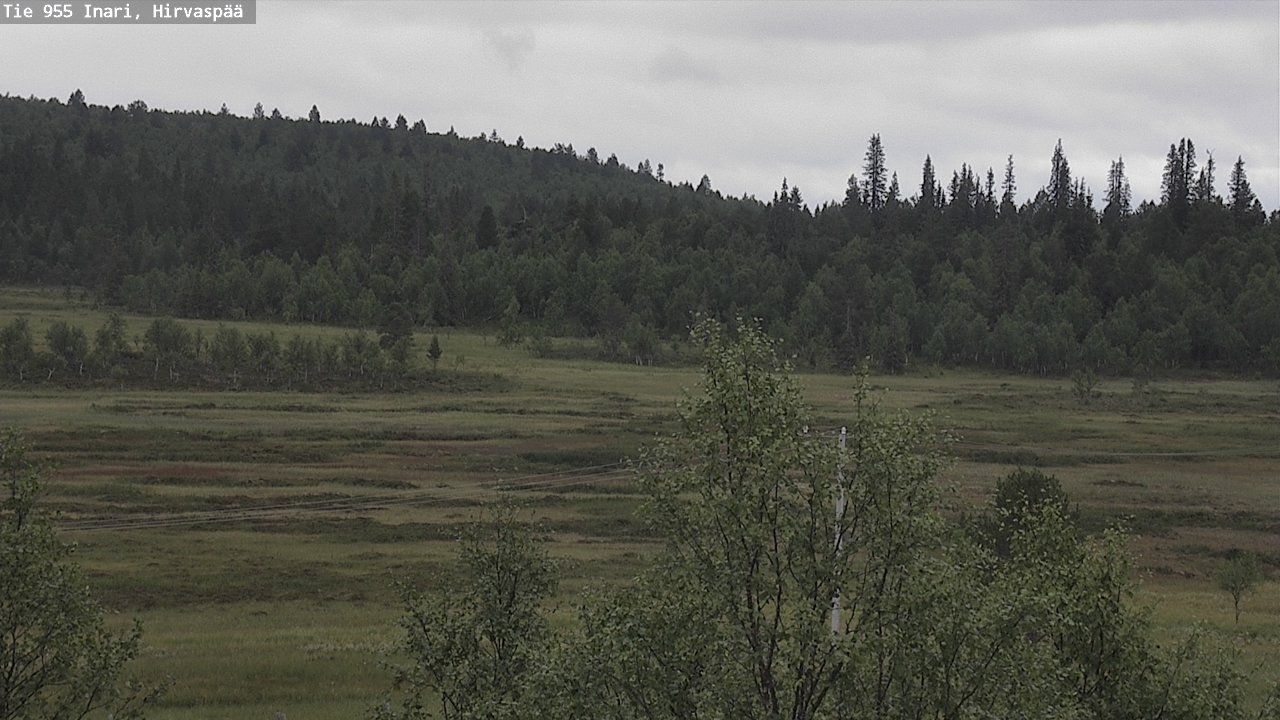 Kelikamerat Kuva Tie 955 Inari, Hirvaspää, Inari, Lappi