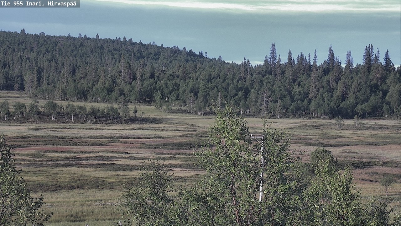 Kelikamerat Kuva Tie 955 Inari, Hirvaspää, Inari, Lappi
