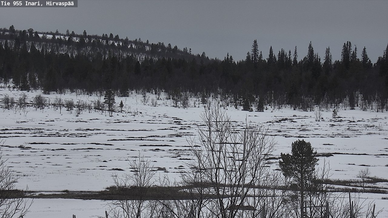 Kelikamerat Kuva Tie 955 Inari, Hirvaspää, Inari, Lappi