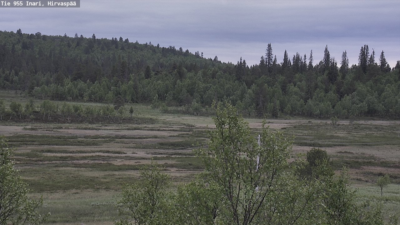 Kelikamerat Kuva Tie 955 Inari, Hirvaspää, Inari, Lappi